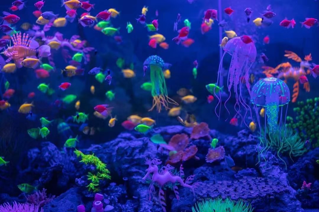 Экскурсия Детские приключения в Паттайе - SevenTrips