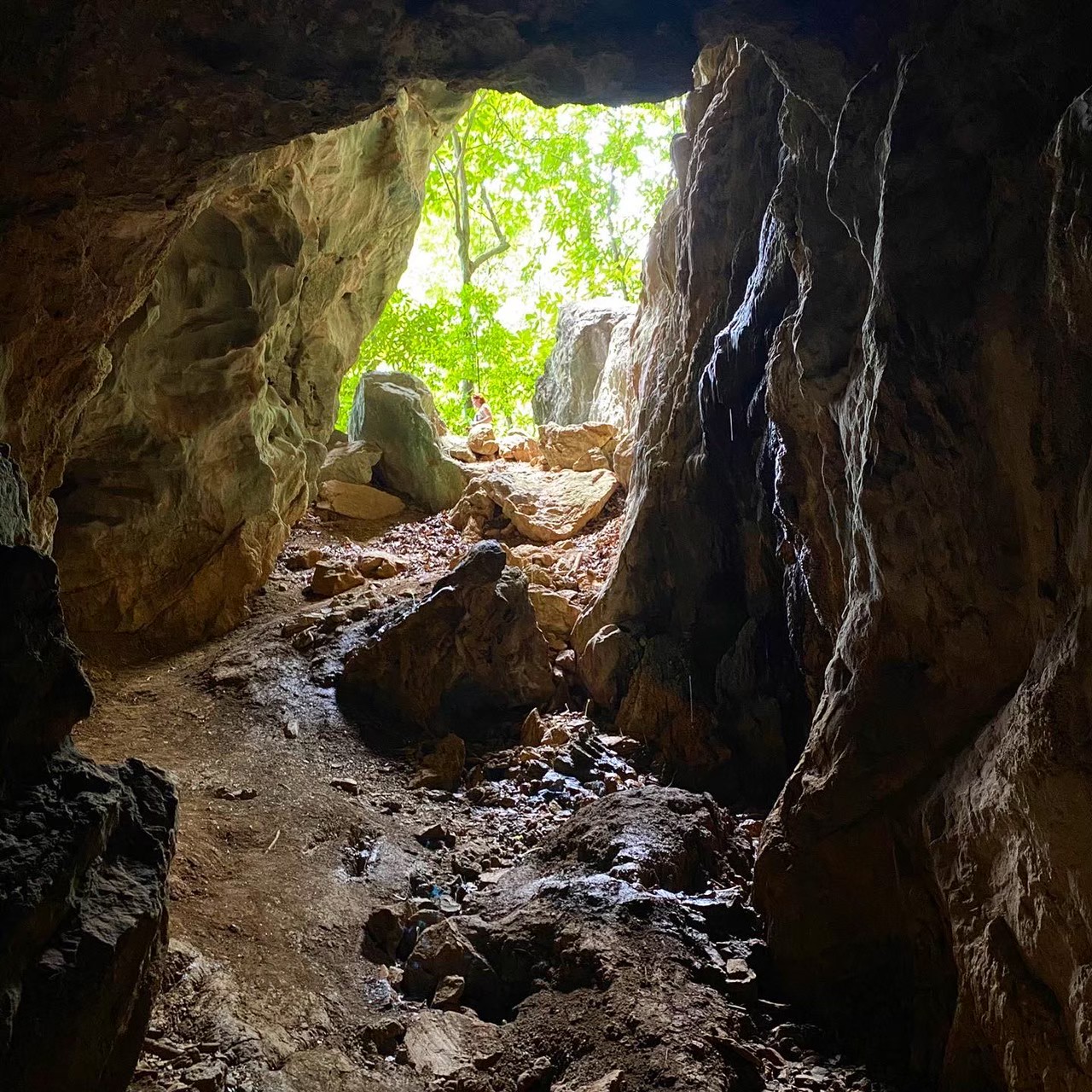 Экскурсия Джунгли Тур в Паттайе - SevenTrips