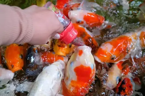 Детские приключения — фото 5