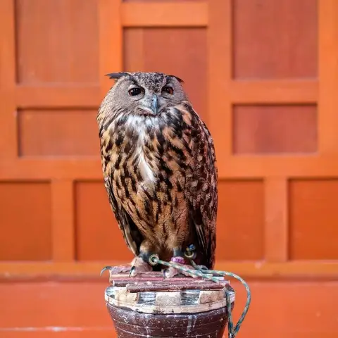 Детские приключения — фотография 6
