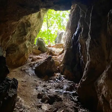 Экскурсия Джунгли Тур в Паттайе
